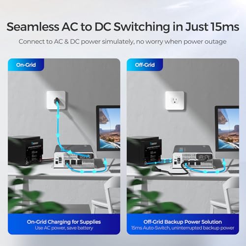 3000W Pure Sine Wave Power Inverter with UPS Transfer Switch F5686