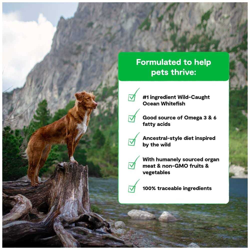Grain-Free Dog Food D2375