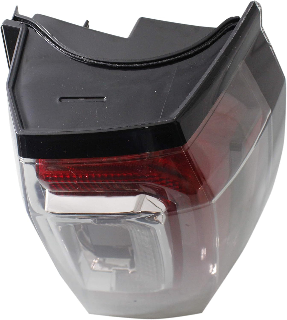 Tail Light Assembly N596006