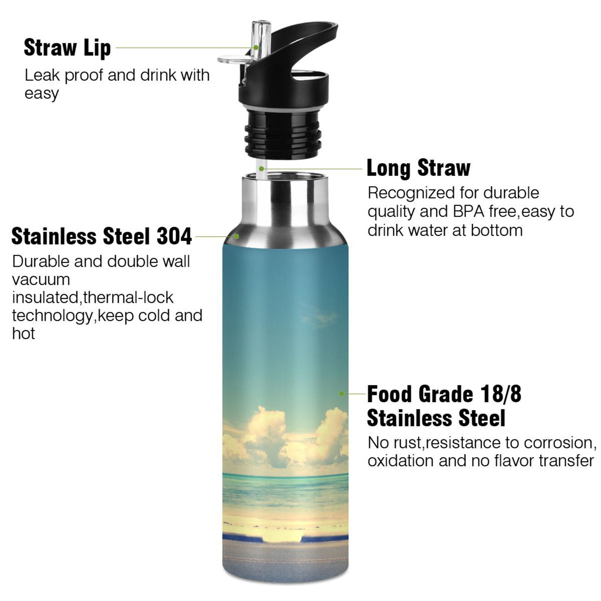 Insulated Stainless Steel Water Bottle with Straw Lid 20 oz D209