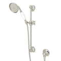 Polished Nickel Hand Shower T60329