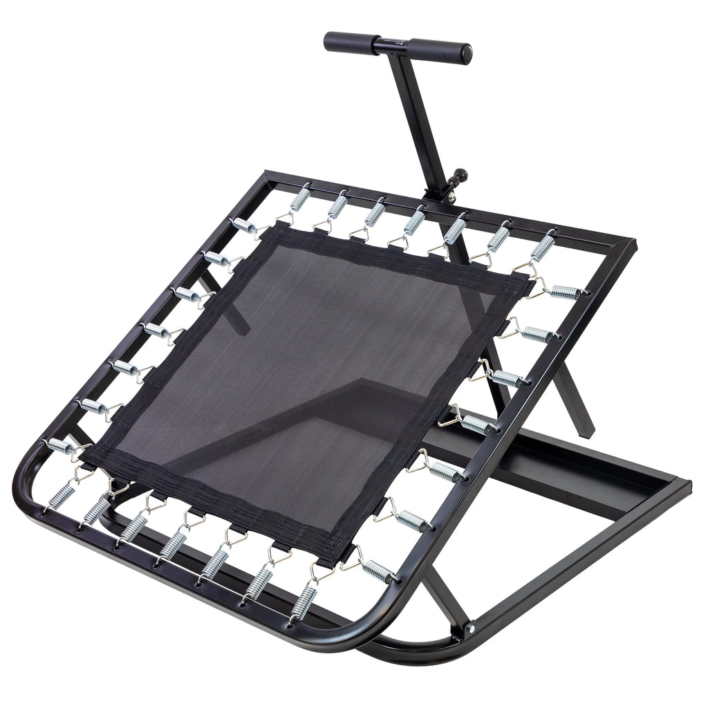 Adjustable Ball Rebounder Set with 5 Balls W98385