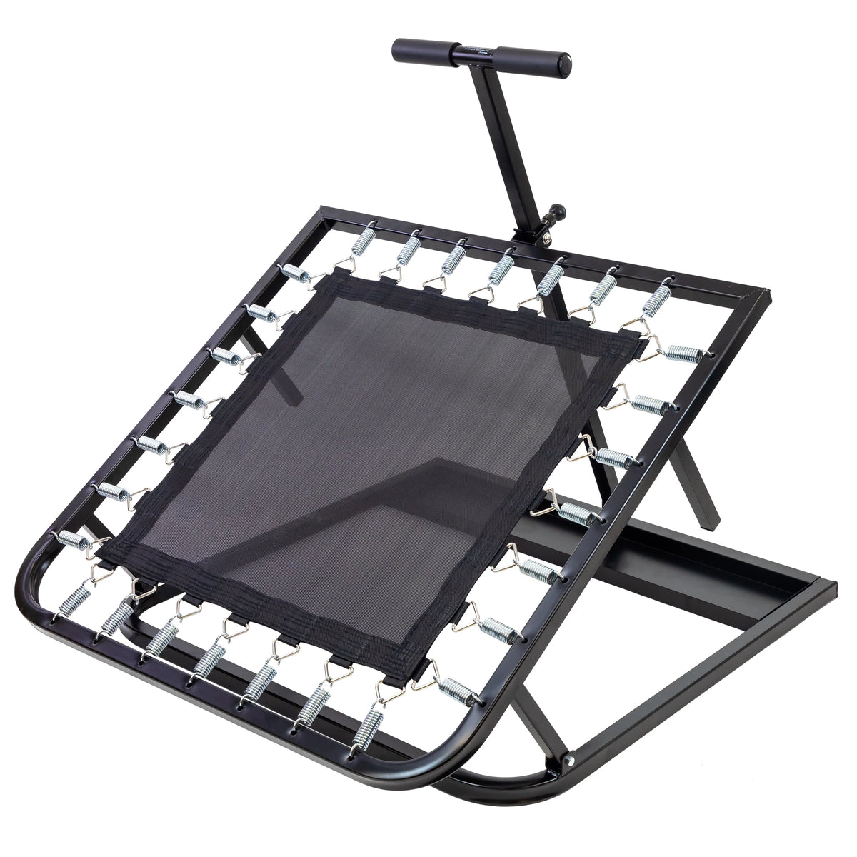 Adjustable Ball Rebounder Set with 5 Balls W98385