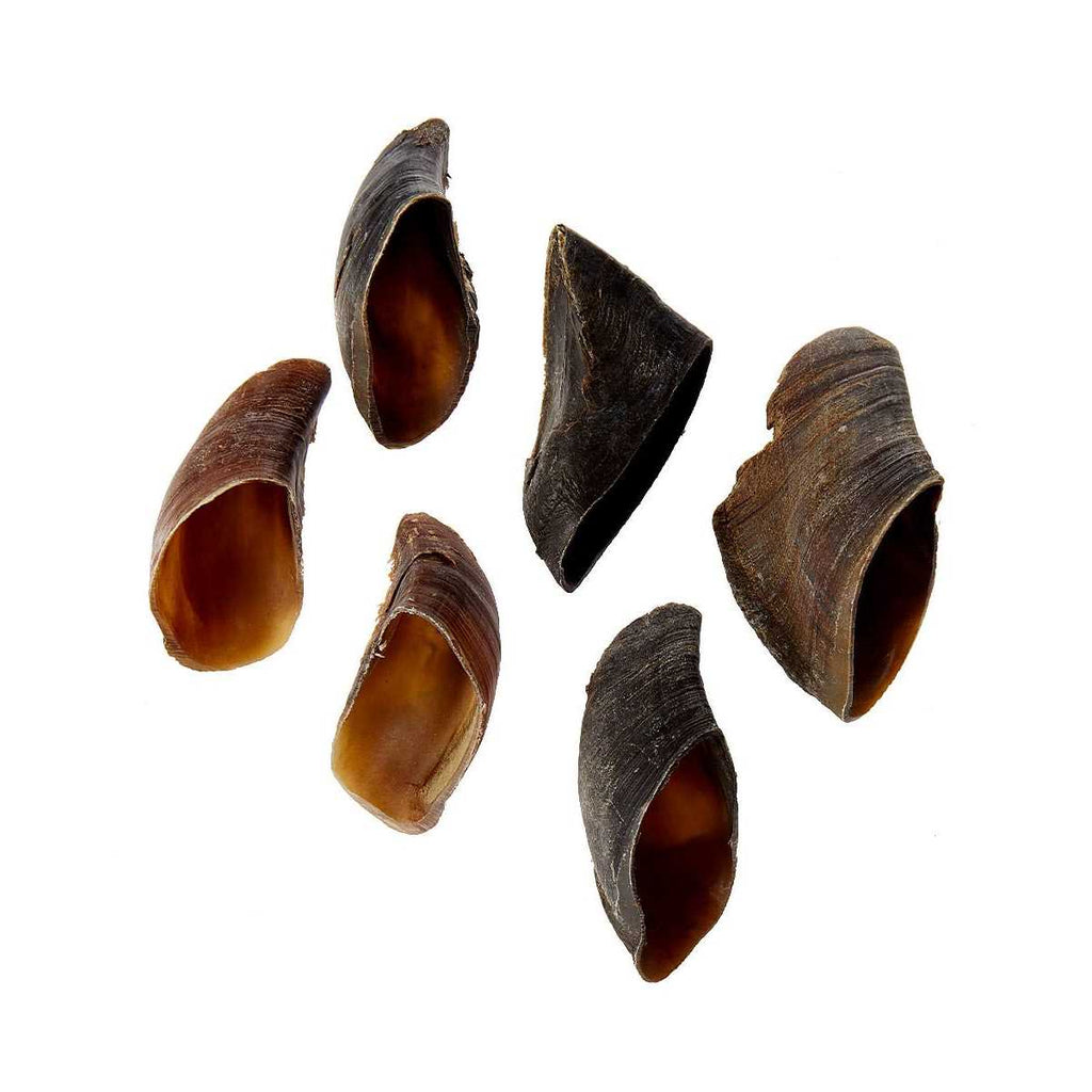 Cow Hooves for Dogs N676