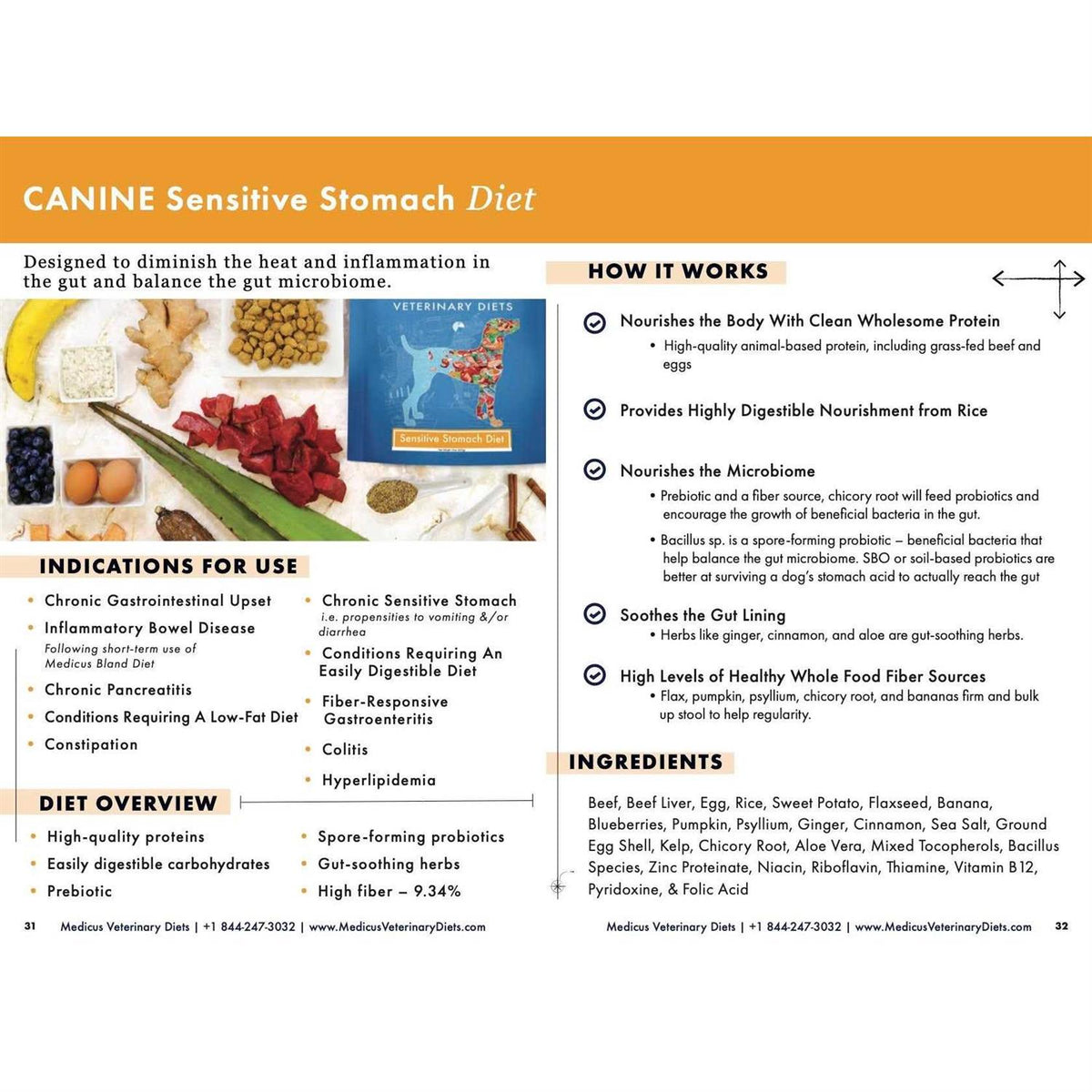 Sensitive Stomach Dog Food W856