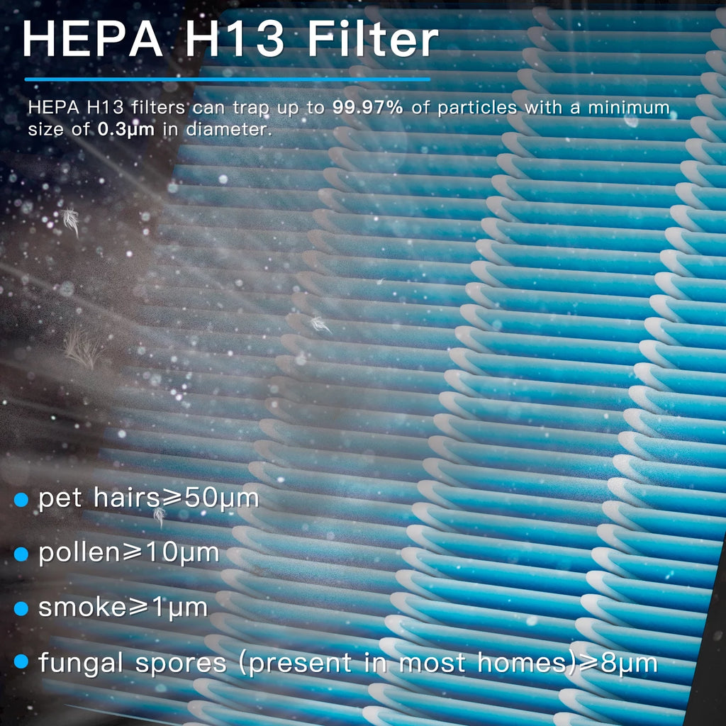Large Room Air Purifier with PM2.5 Monitoring and Hepa H13 Filter N752
