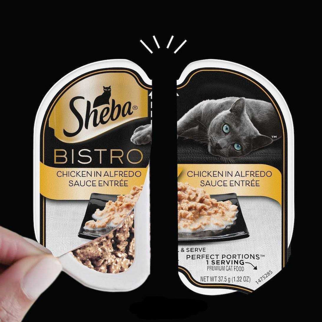 Chicken in Alfredo Sauce Wet Cat Food I621