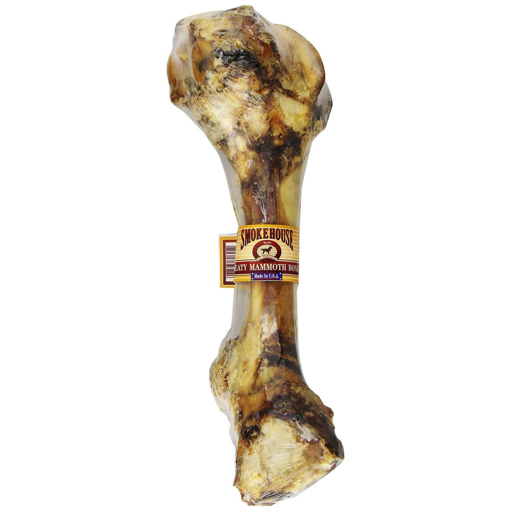Meaty Mammoth Bone N5137