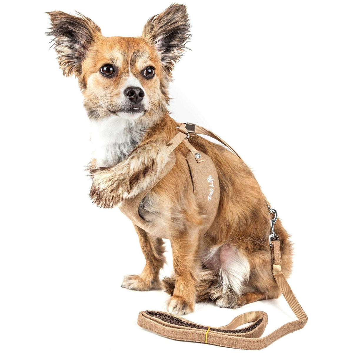 Adjustable Mesh Dog Harness-Leash with Fur Collar U680554