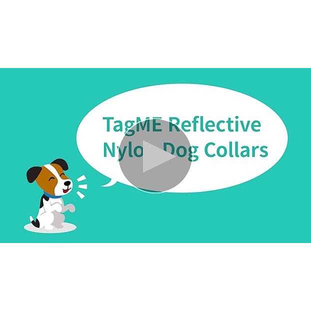 Reflective Nylon Adjustable Dog Collar with Quick Release Buckle Y84872