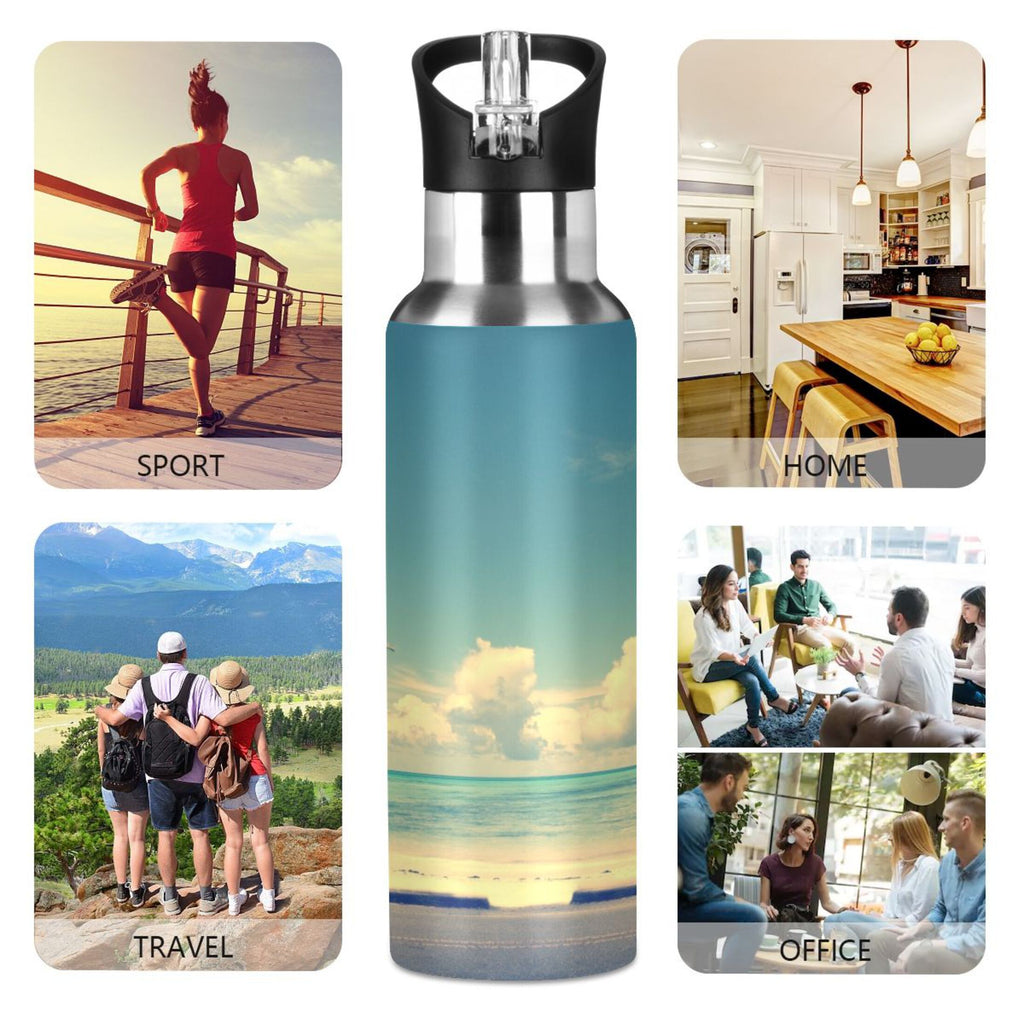 Insulated Stainless Steel Water Bottle with Straw Lid 20 oz D209