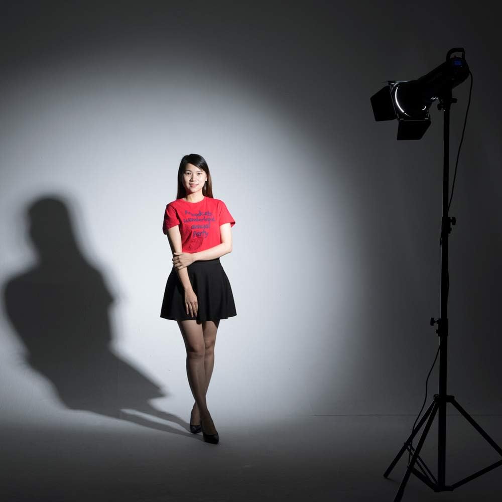 2 Pack 800Ws Photo Speedlite Studio Flash Strobe Monolight Bowens Mount Kit with Softbox, Light Stand, Barn Door Kit, Reflector A793551