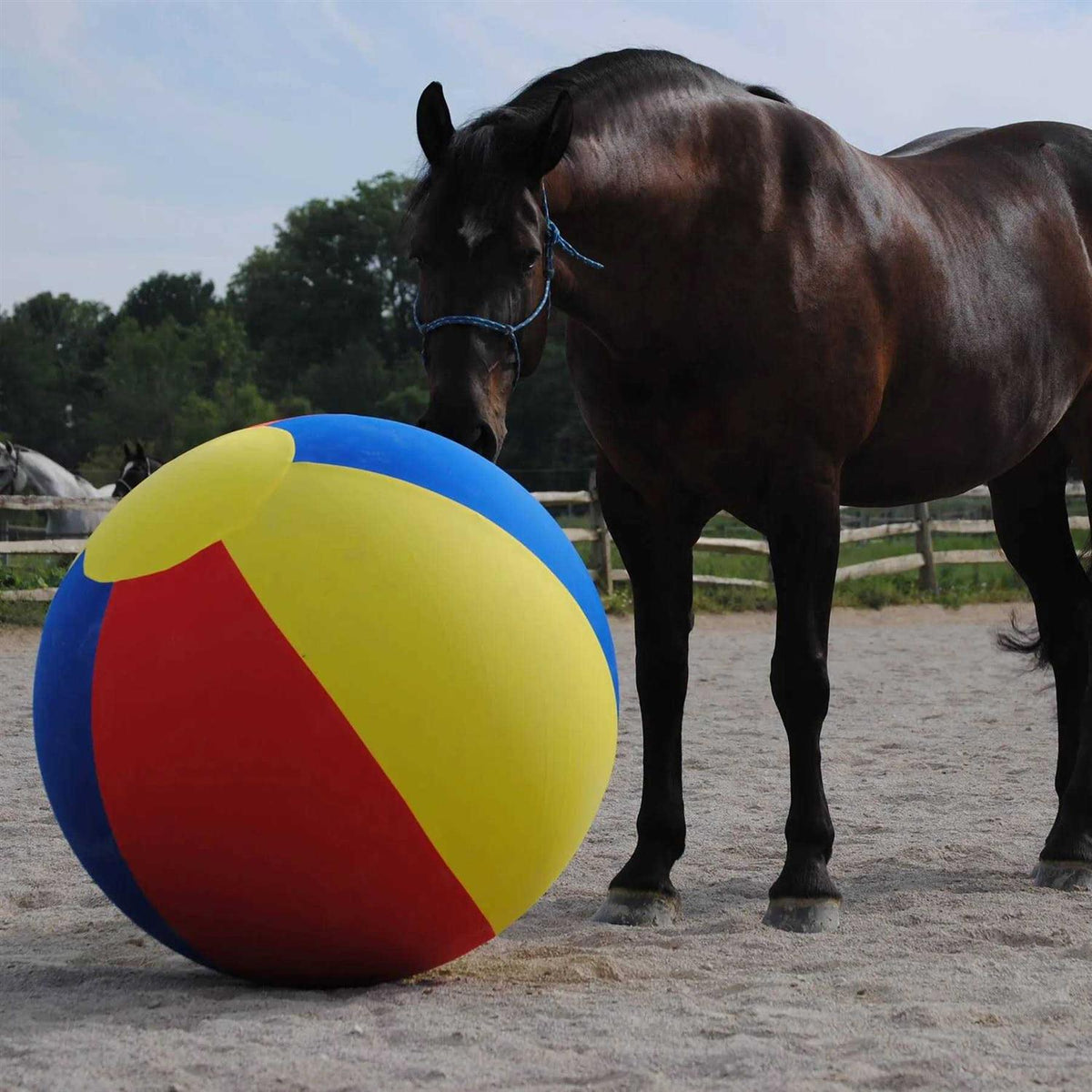 Horsemen’s Pride Mega Ball Cover V525398