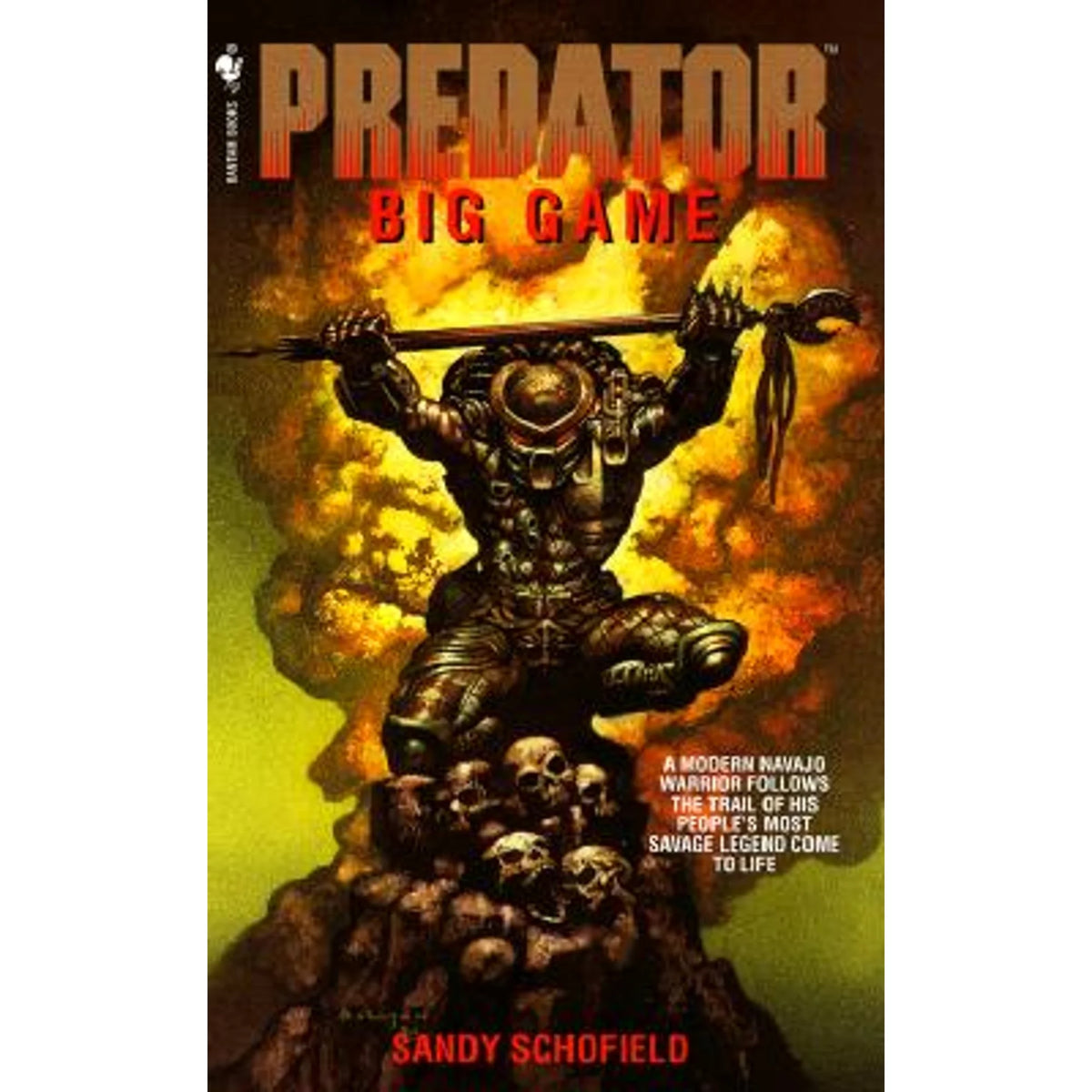 Pre-Owned Big Game Paperback P96756