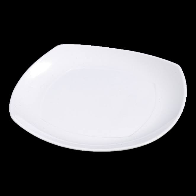 Plate 11-1/2x22 E312785