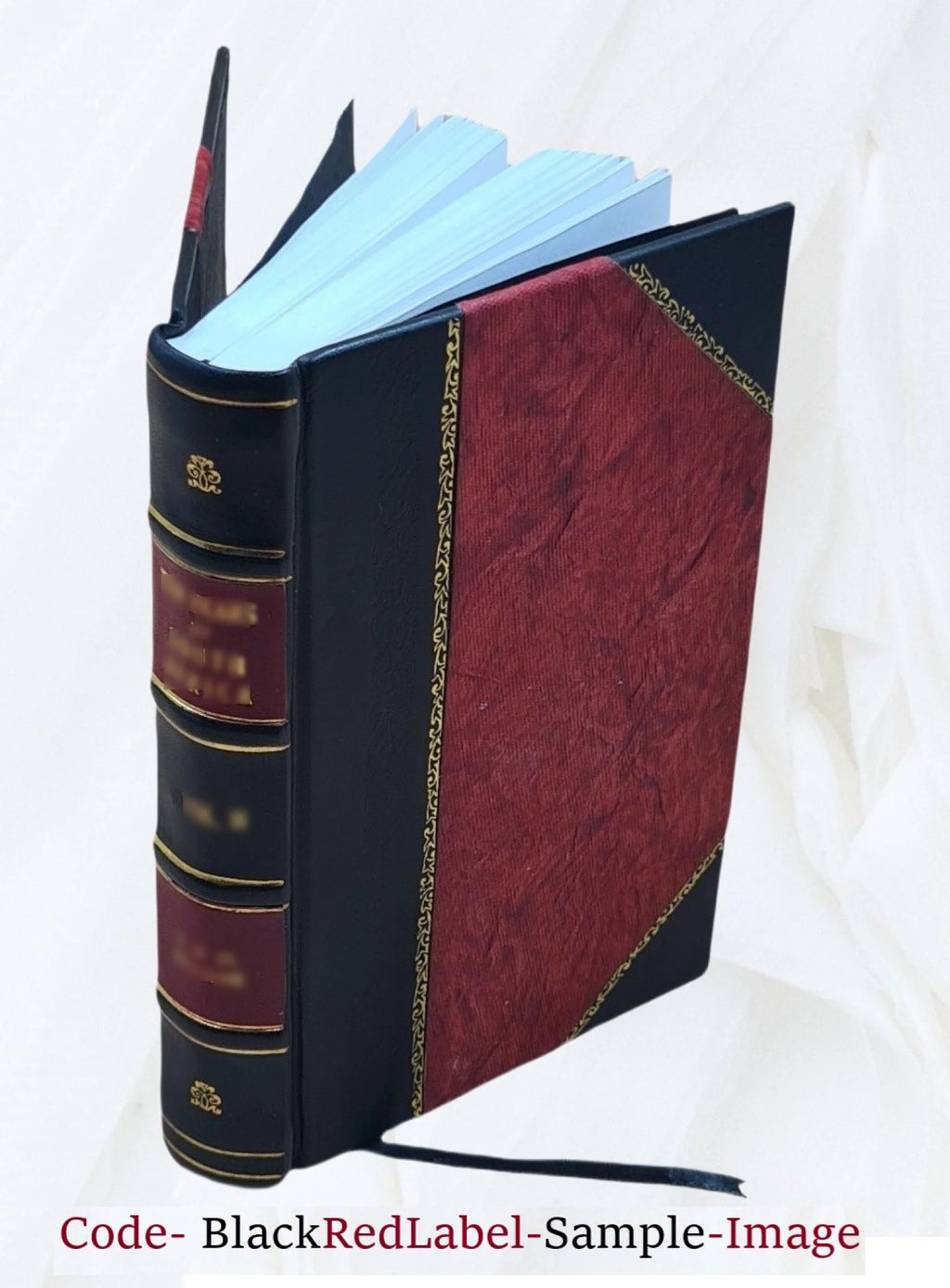 Leather Bound Book D546