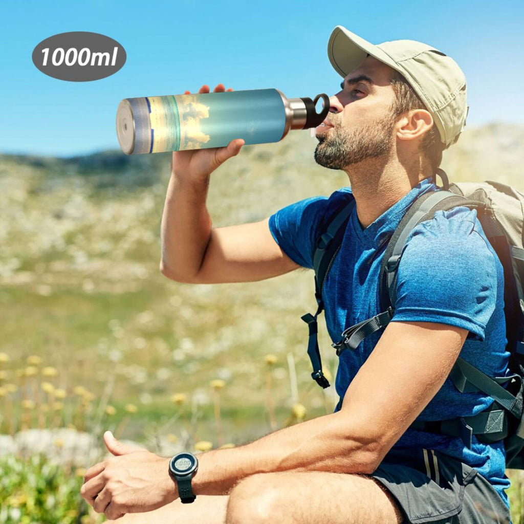 Insulated Stainless Steel Water Bottle with Straw Lid 20 oz D209